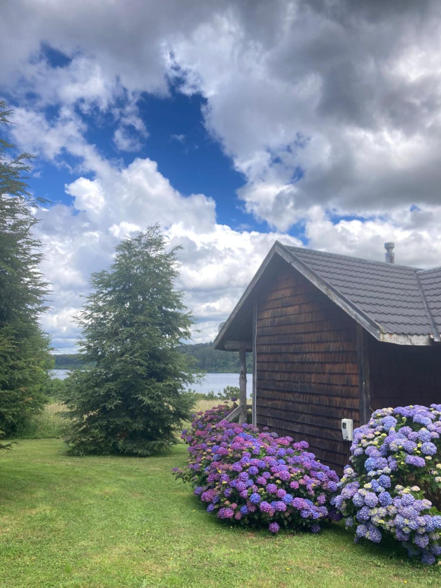 Antuquelen Lodge Cabanas Фрутильяр Экстерьер фото